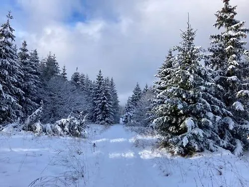 Дом отдыха Haus Waldzeit, Inclusief Bedlinnen Handdoeken En Eindservice Frankenau